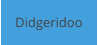 Didgeridoo