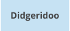 Didgeridoo